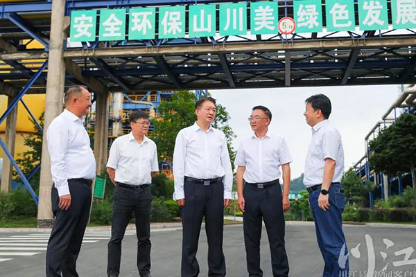 杨林兴：把新型工业化摆在更加突出的位置，让“四化同步”发展的主引擎作用更加凸显
